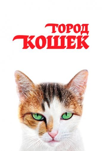 Город кошек постер