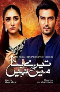 Без тебя нет меня постер