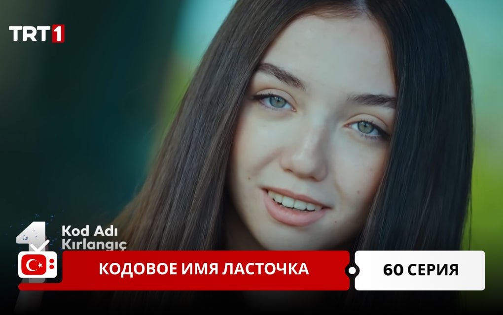 Кодовое имя Ласточка 60 серия