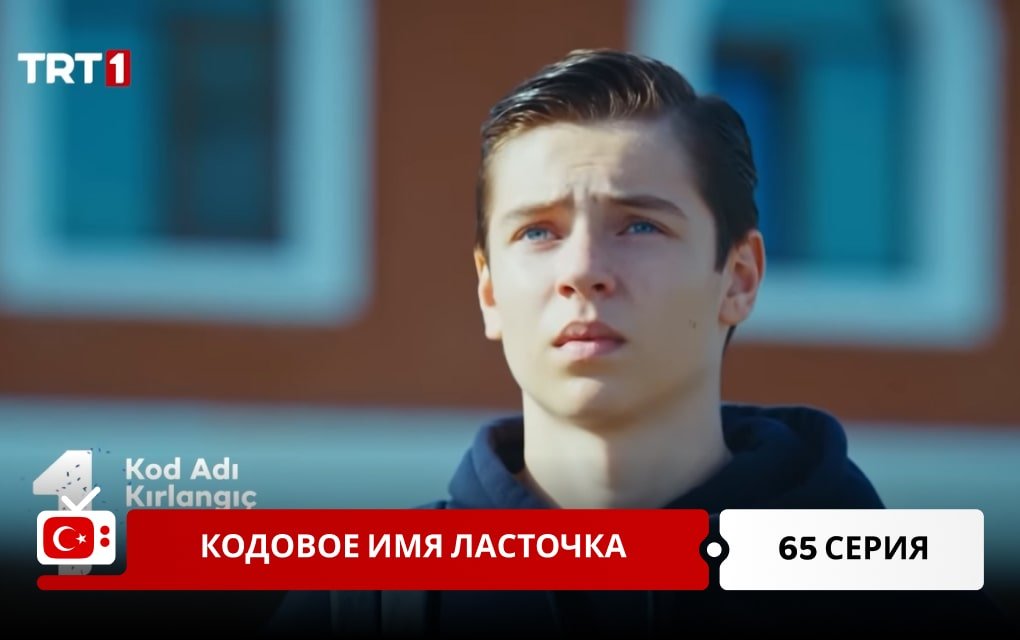 Кодовое имя Ласточка 65 серия