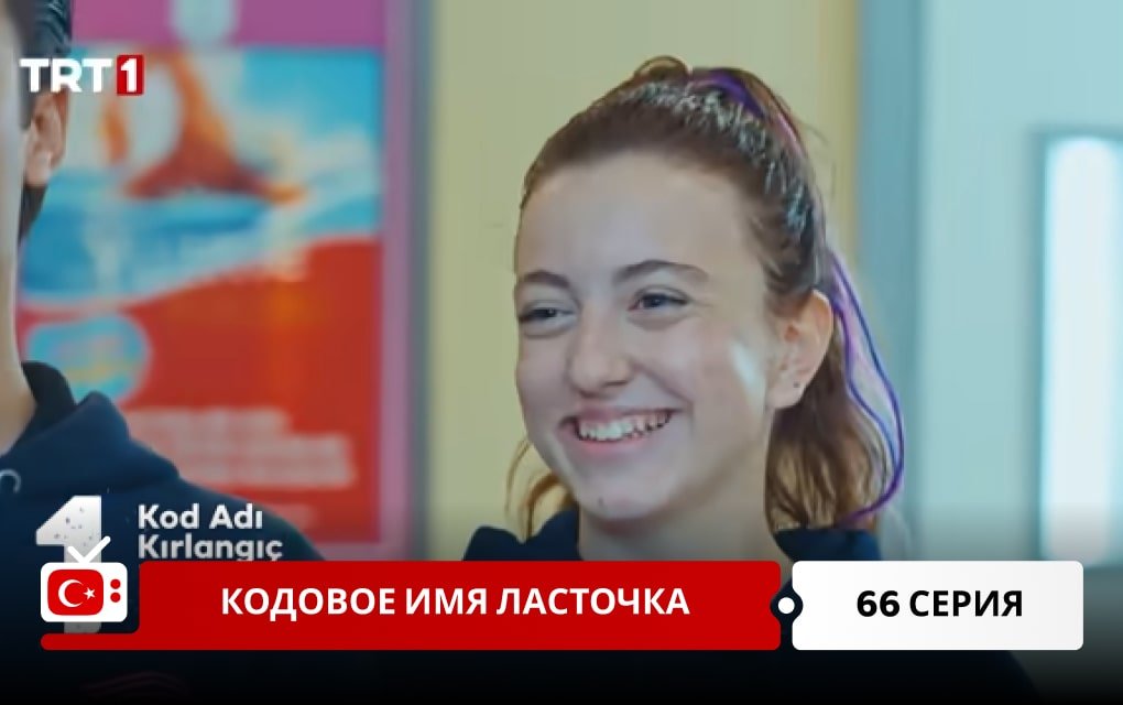 Кодовое имя Ласточка 66 серия