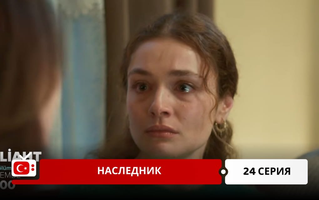 Наследник 24 серия