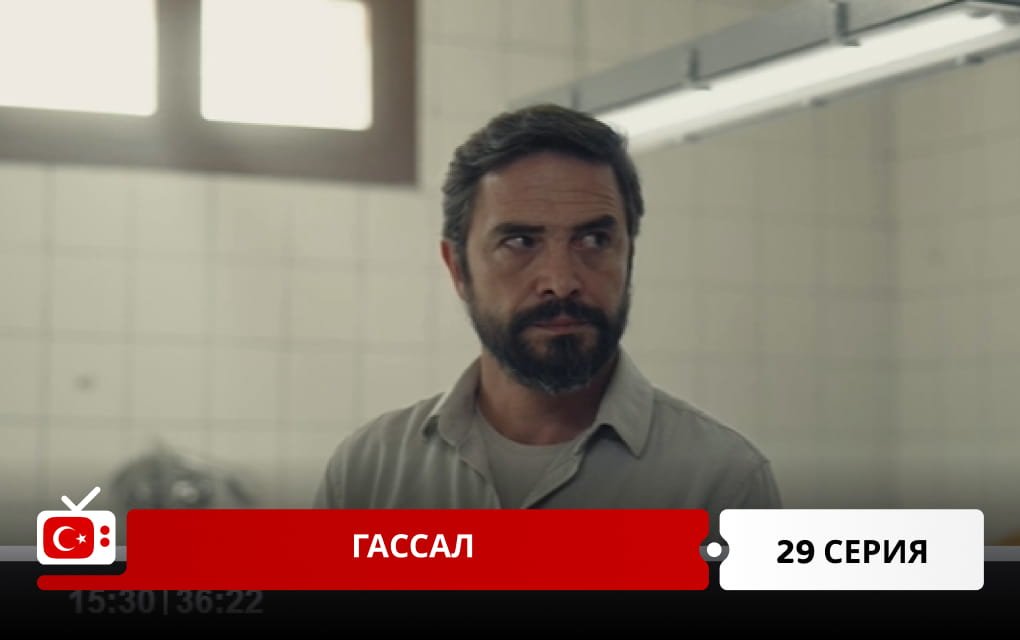 Гассал 29 серия
