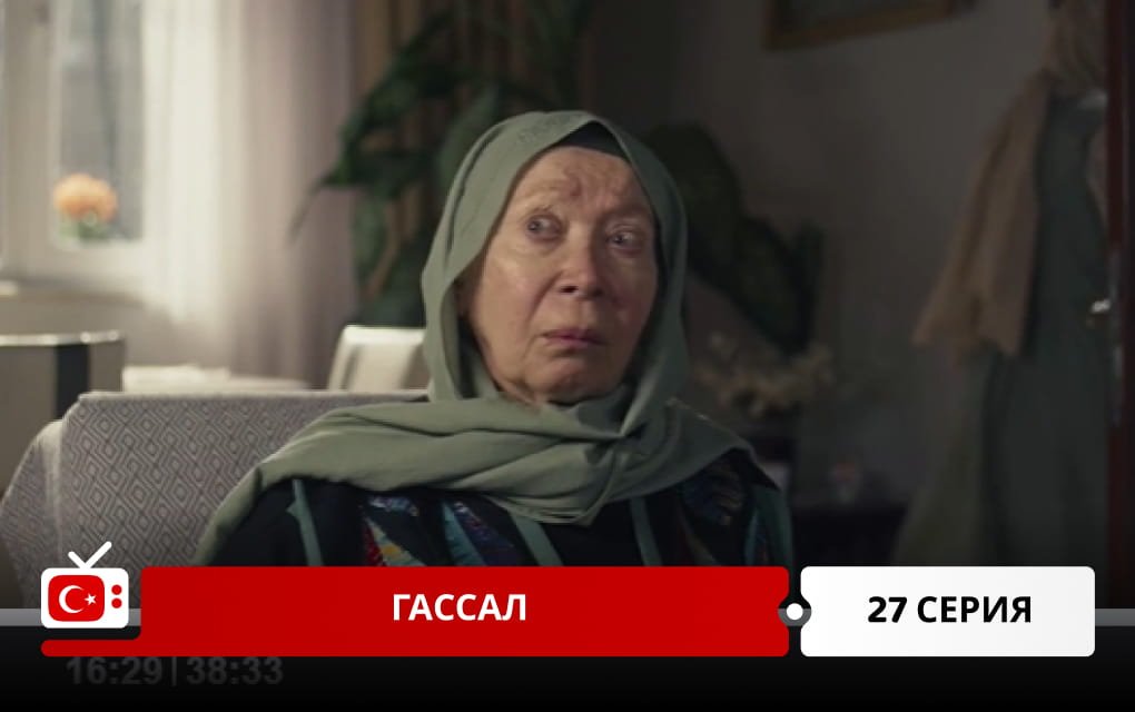 Гассал 27 серия