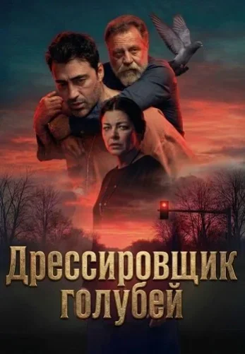 Дрессировщик голубей