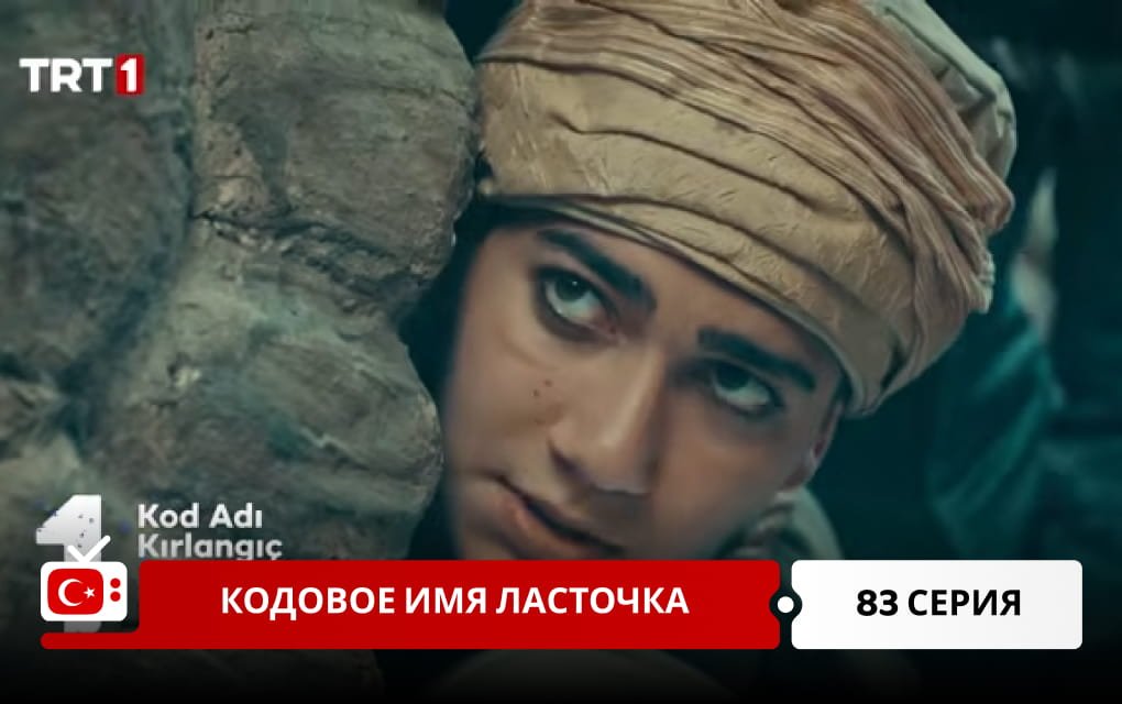Кодовое имя Ласточка 83 серия