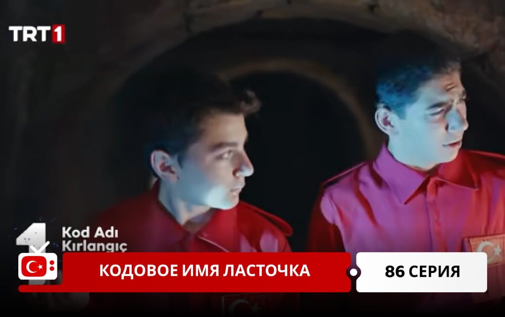 Кодовое имя Ласточка 86 серия