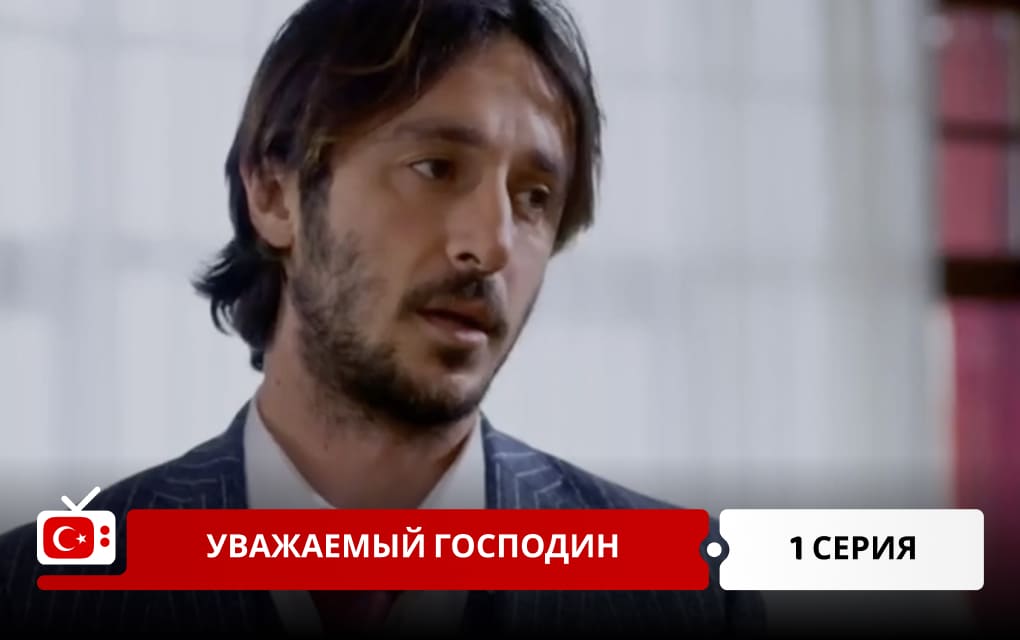 Уважаемый господин 1 серия