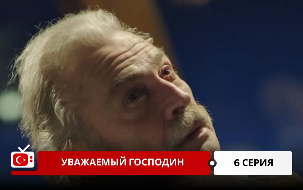 Уважаемый господин 6 серия
