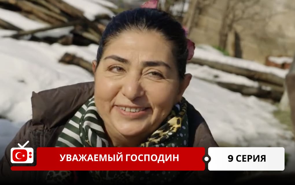 Уважаемый господин 9 серия