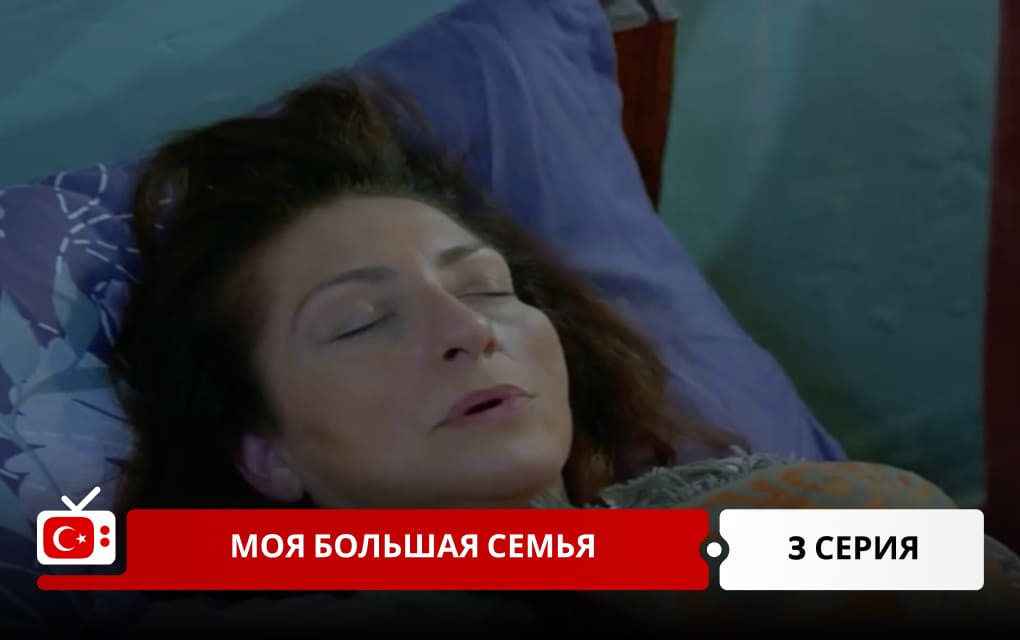 Моя большая семья 3 серия