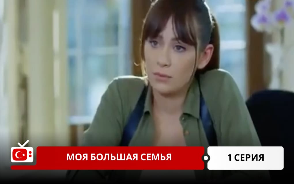 Моя большая семья 1 серия