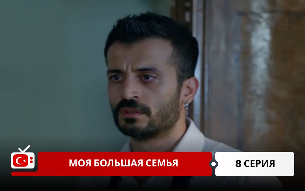 Моя большая семья 8 серия