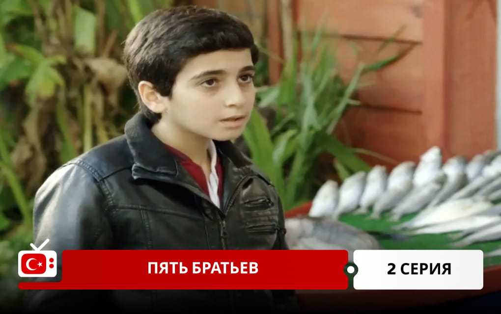 Пять братьев 2 серия