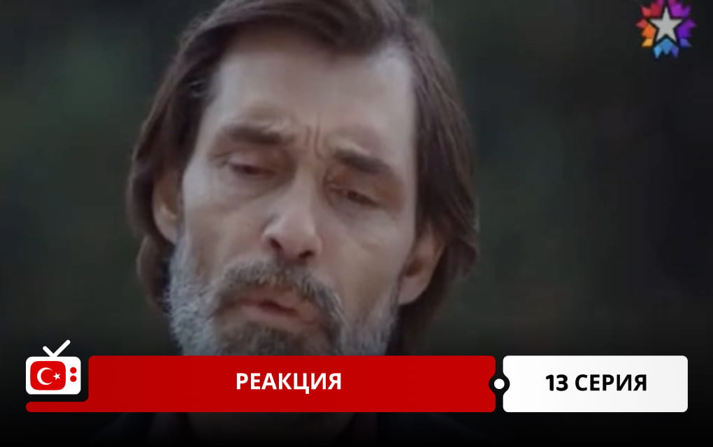 Реакция 13 серия