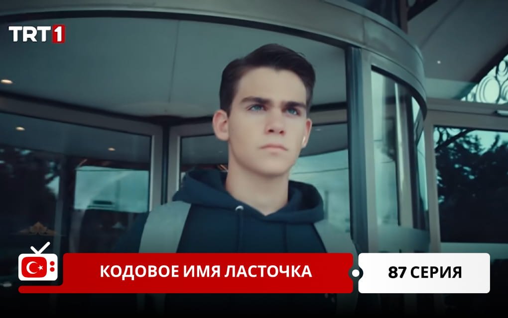 Кодовое имя Ласточка 87 серия
