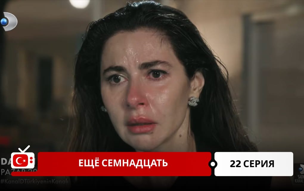 Ещё семнадцать 22 серия