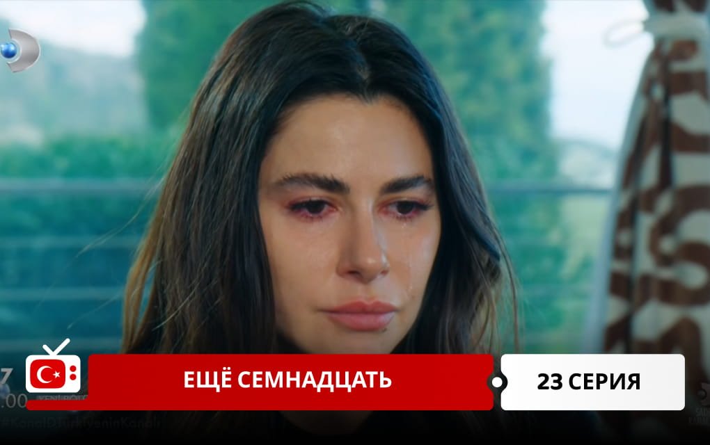 Ещё семнадцать 23 серия